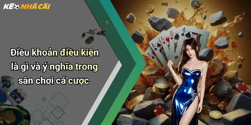 Điều khoản điều kiện là gì và ý nghĩa trong sân chơi cá cược