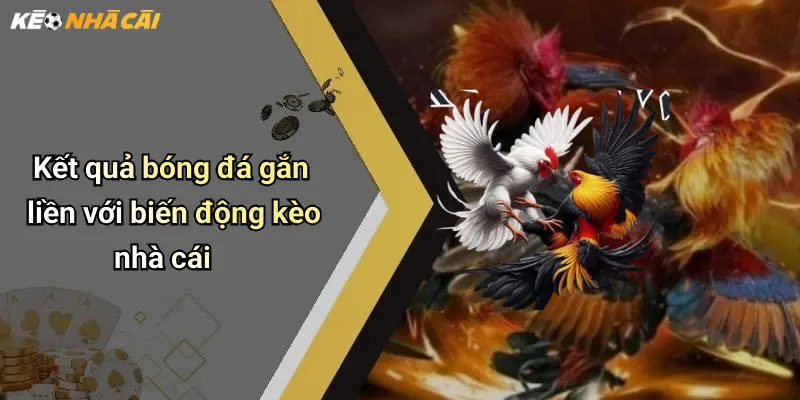 Kết quả bóng đá gắn liền với biến động kèo nhà cái