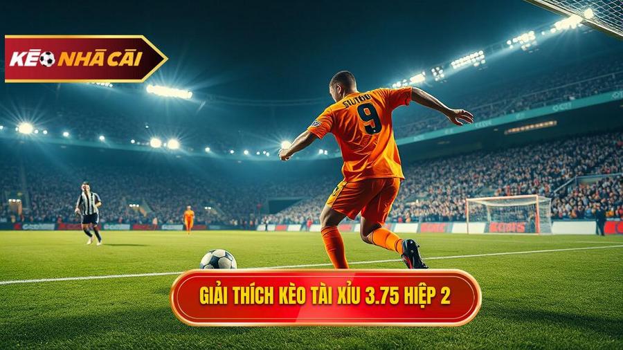 Hiểu rõ về Kèo tài xỉu 3.75 hiệp 2 là gì?