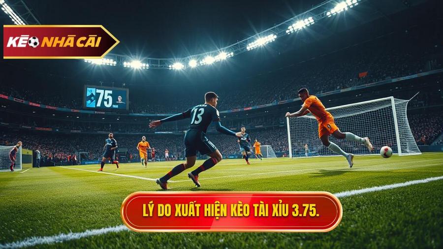 Tại sao Kèo tài xỉu 3.75 hiệp 2 lại xuất hiện?