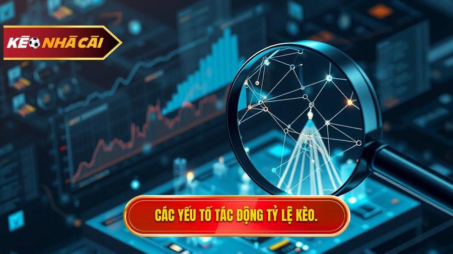 Phân tích đa chiều: Yếu tố nào tác động đến tỷ lệ kèo?